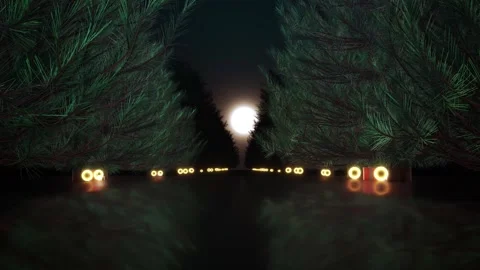 Magical Evergreen Holiday Pathway with Full Moon and Gift Boxes Stock Footage 342633106
