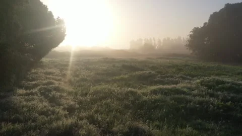Magical fog over fields.MP4 Stock Footage 167482847