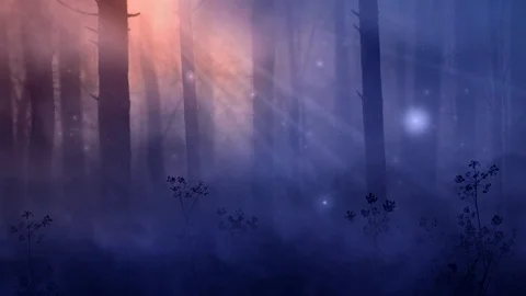 Magical foggy forest. Computer graphics Stock Footage 115887595