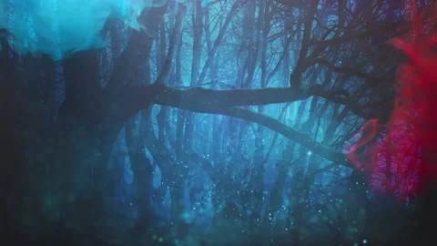 Magical forest background Stock Footage 148960608