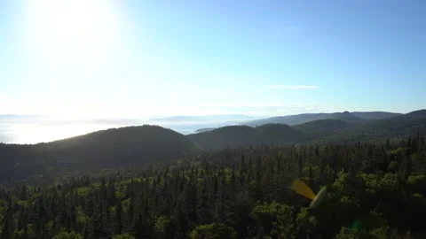 Magical Forest during sunset Stock Footage 143165575