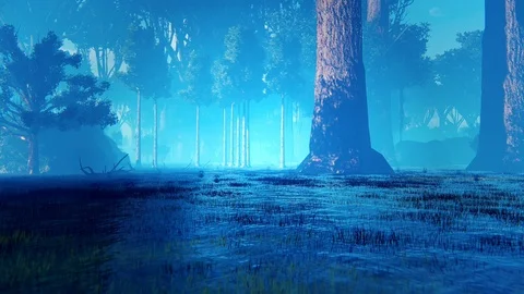 Magical Forest Stock Footage 86113373