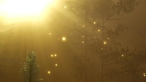 Magical Forest with Sparkles Stock Illustration