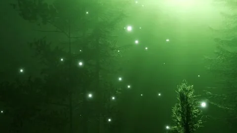 Magical Forest with Sparkles Stock Illustration