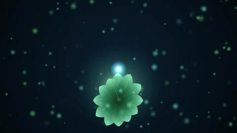Magical Glowing Moth And Green Lotus In Ethereal Fantasy Space Stock Footage 340387835