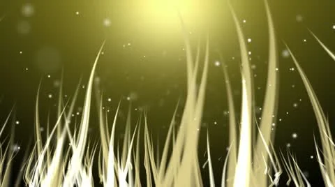 Magical Grass Vidéo 12325483