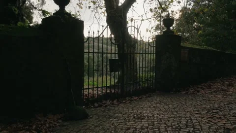 Magical hidden gate outside a mansion in Sintra, Portugal Stock Footage 304003476