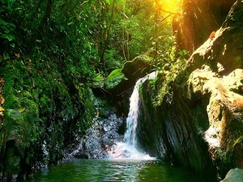 Magical lake with small waterfall, surrounded by mossy rocks. Mysterious jungle Vídeos de archivo 74978445