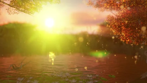 Magical lake with sun rays and leaves Stock Footage 236714949