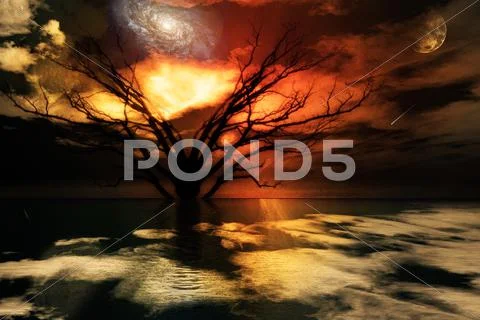 Magical landscape Stock Illustration