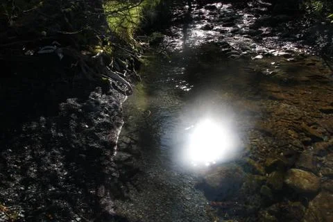 Magical moonlight Stock Photos