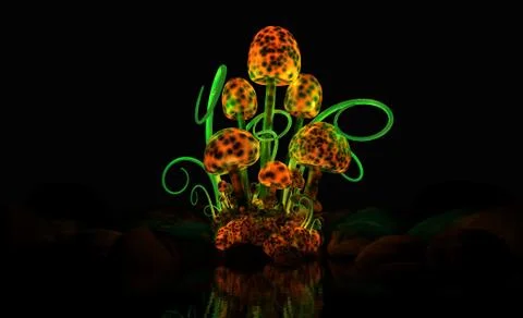 Magical mushrooms Stock Illustration