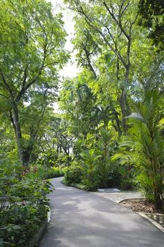 Magical Pathway Stock Photos