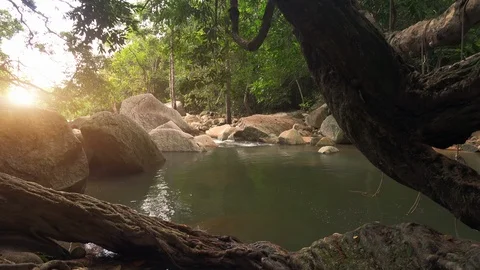 Magical pond in middle of enchanted forest lit by sun breaking through foliage Stock Footage 94263151
