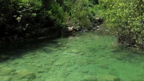 Magical pristine river water Stock Footage 282571464
