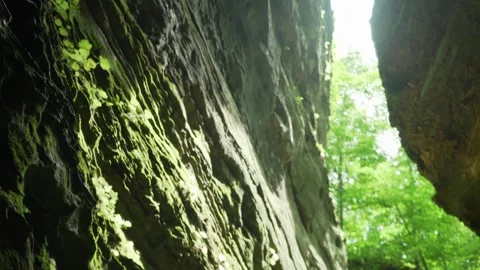 Magical Rainforest Point of View in Lush Canyon Stock Footage 285678828