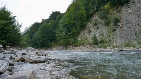 Magical scenery of a forest and river with rocks Stock Footage 119538071