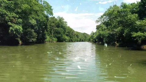 Magical Snowfall on Spring River in Green Forest 스톡 동영상 330276835