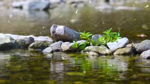 Magical Snowfall on Spring River in Green Forest Stock-Footage 330278314