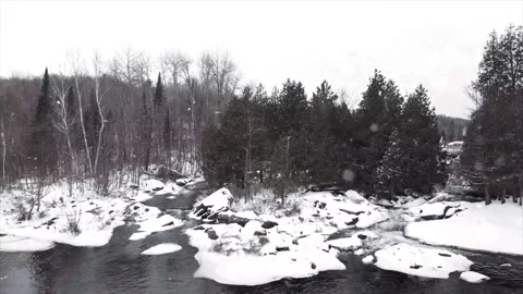 Magical Snowfall on Spring River in Green Forest Stock-Footage 330278876