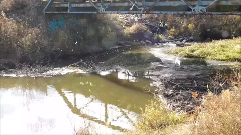 Magical Snowfall on Spring River in Green Forest Stock Footage 330279545