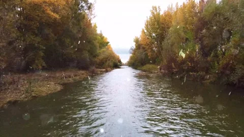 Magical Snowfall on Spring River in Green Forest Stock Footage 330279816