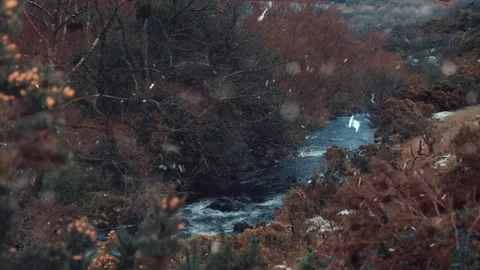 Magical Snowfall on Spring River in Green Forest 스톡 동영상 330280808