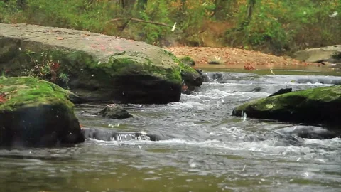 Magical Snowfall on Spring River in Green Forest Stock Footage 330281441