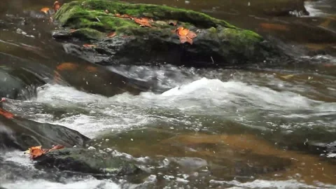 Magical Snowfall on Spring River in Green Forest Stock-Footage 330281446