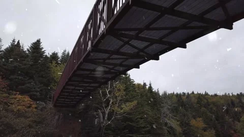 Magical Snowfall on Spring River in Green Forest Stock-Footage 330282040