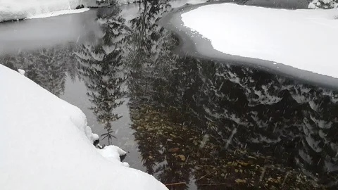 Magical snowing above a half-frozen brook crossing a forest. Stock Footage 98361753