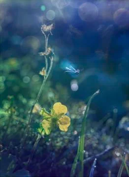 Magical spring, close up Stock Photos