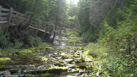 Magical stream of water in Canada Stock Footage 143156142