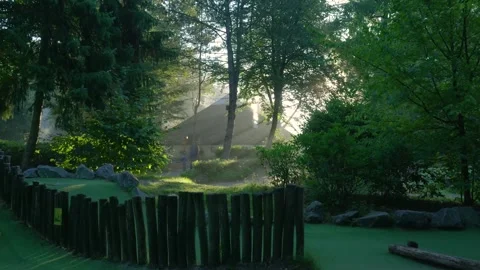 Magical sun rays shining through trees in a park Stock-Footage 320812489