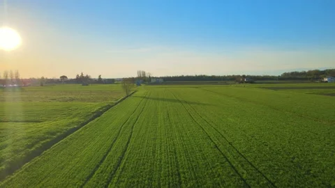 A magical sunset on the green fields, an extremely beautiful landscape Stock Footage 237510867