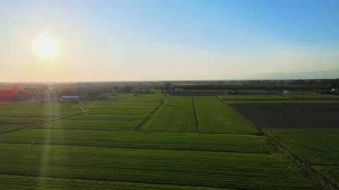 A magical sunset on the green fields, an extremely beautiful landscape Stock Footage 237511036