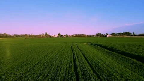 A magical sunset on the green fields, an extremely beautiful landscape Stock Footage 237518207