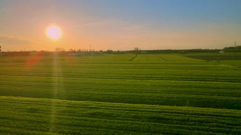 A magical sunset on the green fields, an extremely beautiful landscape Stock Footage 237518318