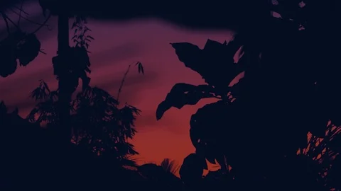 Magical sunset sky gradient footage through the trees Stock Footage 98516166