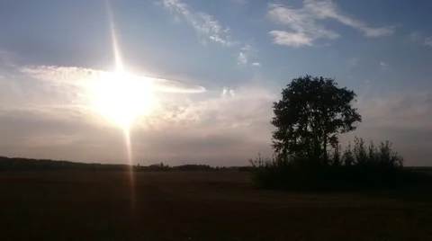 Magical sunset with tree. Timelapse. Stock Footage 67639388