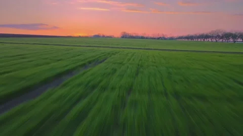 A magical sunset, a warm evening atmosphere. Stock Footage 238930357