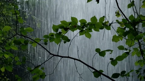 Magical view from behind the waterfall Stock Footage 140460234