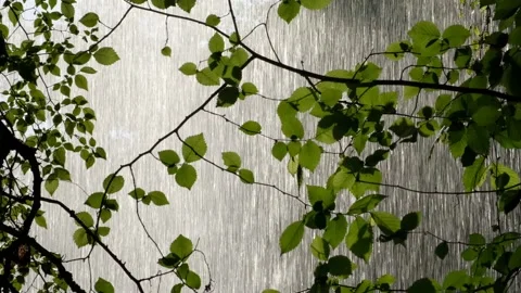 Magical view from behind the waterfall Stock Footage 140460260