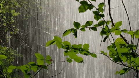 Magical view from behind the waterfall on the shiny drops Stock Footage 140460195