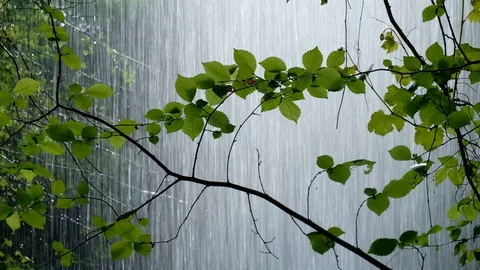Magical view from behind the waterfall on the shower of drops Video stock 129265310