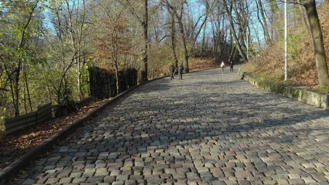 Magical view of a large city park Видео 126538880