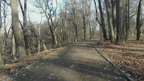 Magical view of a large city park 库存影片 126539609