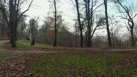 Magical view of a large city park Stock Footage 126540356