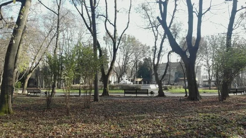 Magical view of a large city park Видео 126544658