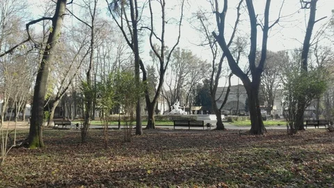 Magical view of a large city park Video stock 126546837